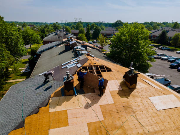 Best Metal Roofing Contractor  in Dexter, GA