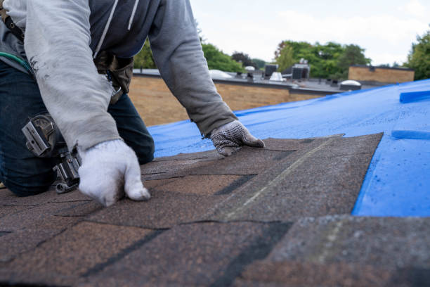 Best Gutter Installation and Roofing  in Dexter, GA