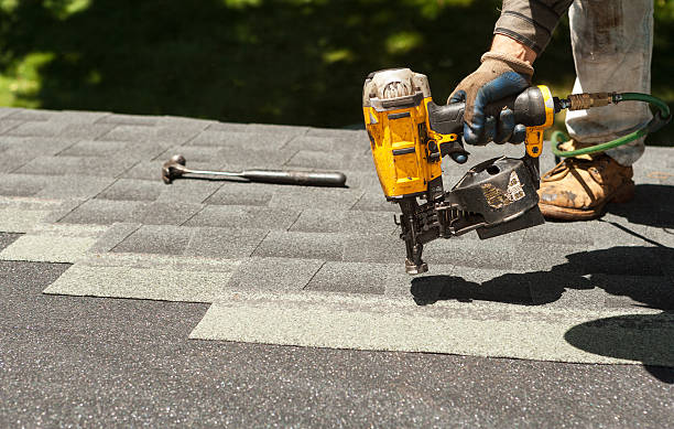 Best Roof Gutter Cleaning  in Dexter, GA