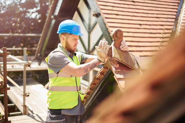 Best Sealant for Roof  in Dexter, GA