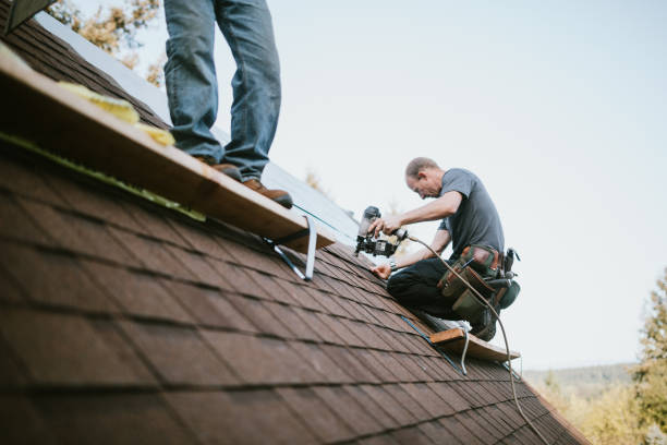 Best Roof Repair Estimates  in Dexter, GA