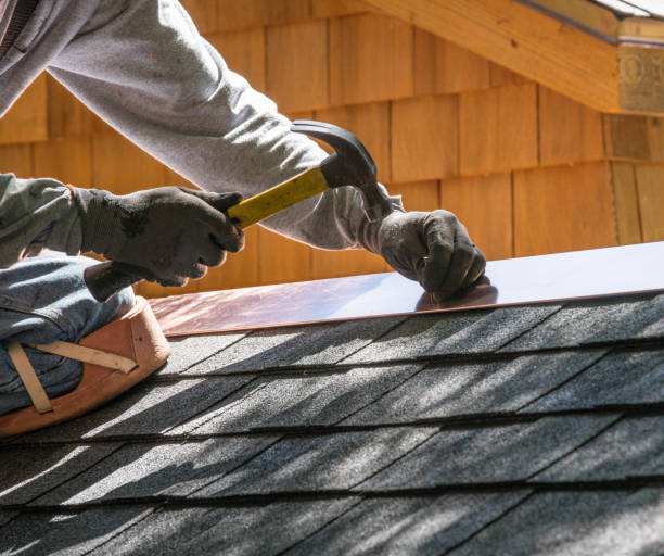 Professional Roofing Contractor in Dexter, GA